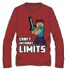 Minecraft tricou cu mânecă lungă pentru copii, 10 ani