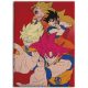 Dragon Ball Hues of Power pătură din fleece coral 110x150cm