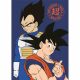 Dragon Ball pătură fleece 100x140cm