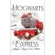 Harry Potter Express prosop de mână, prosop de față, prosop 30x50 cm