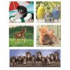 Animale Friends Puzzle 10 în 1 Clementoni