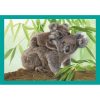 Animale Baby Cuddles Puzzle 4 în 1 Clementoni