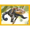 Animale Baby Cuddles Puzzle 4 în 1 Clementoni