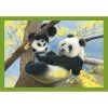 Animale Baby Cuddles Puzzle 4 în 1 Clementoni