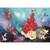 Prințesele Disney Ariel Puzzle maxi de 24 de piese Clementoni