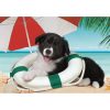 Câine Sunny Beach Puzzle Clementoni cu 104 piese