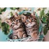 Pisică Lovely Twins Puzzle Clementoni de 60 de piese