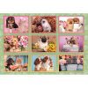 Animale Puppies Collage Puzzle Clementoni de 180 de piese