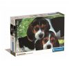 Animale Beagles Close Together Puzzle câine 500 de piese Clementoni