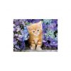 Animale Ginger Puzzle Clementoni cu 500 de piese, pisici