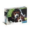 Animale Beagles Close Together Puzzle Clementoni cu 500 de piese cu câine