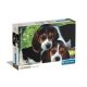 Animale Beagles Close Together Puzzle cu câini 500 de piese Clementoni