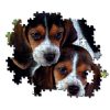 Animale Beagles Close Together Puzzle Clementoni cu 500 de piese cu câine