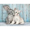 Animale Cat & Bunny Puzzle Clementoni de 500 de piese