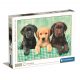 Animale Labrador Puzzle cu 1000 de piese cu câini Clementoni