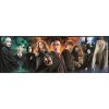 Harry Potter Foe Puzzle panoramic de 1000 de piese Clementoni