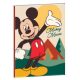 Disney Mickey  Nature B/5 caiet dictando 40 file