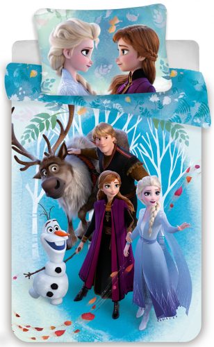 Disney Regatul de gheață Whispering Wind Set de lenjerie de pat 140×200 cm, 70×90 cm