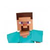 Minecraft Steve Essential costum 5-6 ani