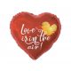 Iubire Love Is In The Air balon din folie 37 cm