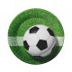 Fotbal Field farfurie de hârtie 6 buc 18 cm