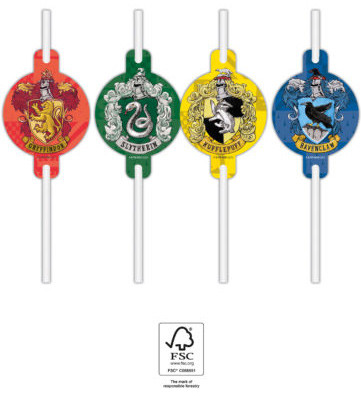 Harry Potter Hogwarts Houses set de 4 paie de hârtie FSC