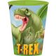 Dinozaur Cana T-Rex, plastic 260 ml